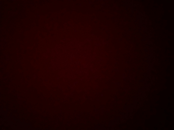 Avatar di Francesca  