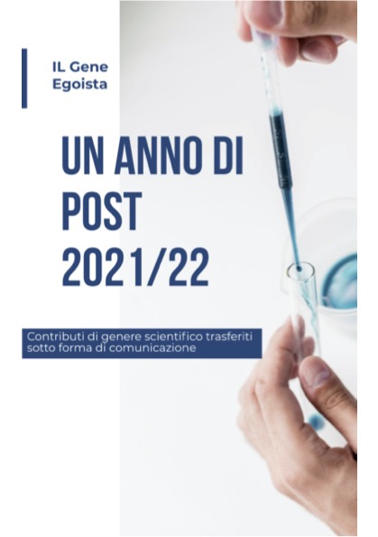 UN ANNO DI POST 2021/22 (Ebook)