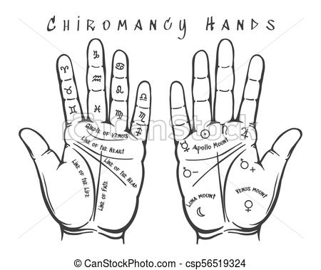 Credi nella chiromanzia? Ti hanno mai letto la mano?