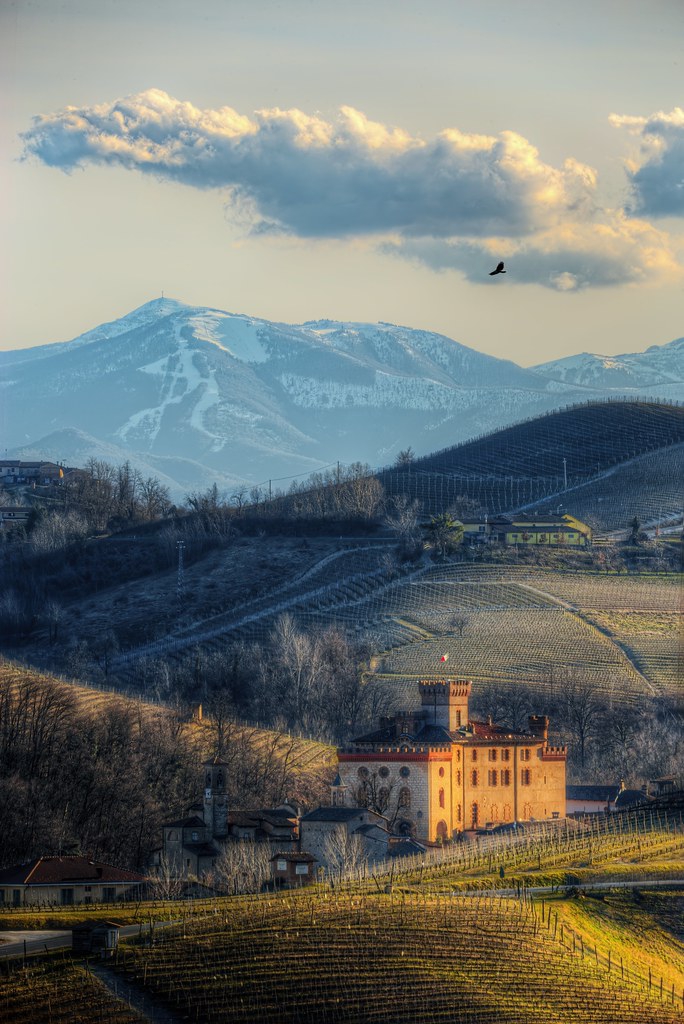 Langhe - Castello di Barolo Piemonte  