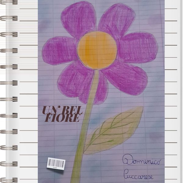 Domenico Cuccarese: “Un bel fiore”